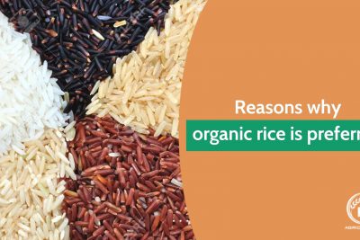 organic-rice-1.jpg