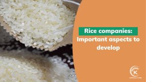 rice-companies-1.jpg