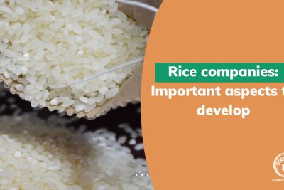 rice-companies-1.jpg