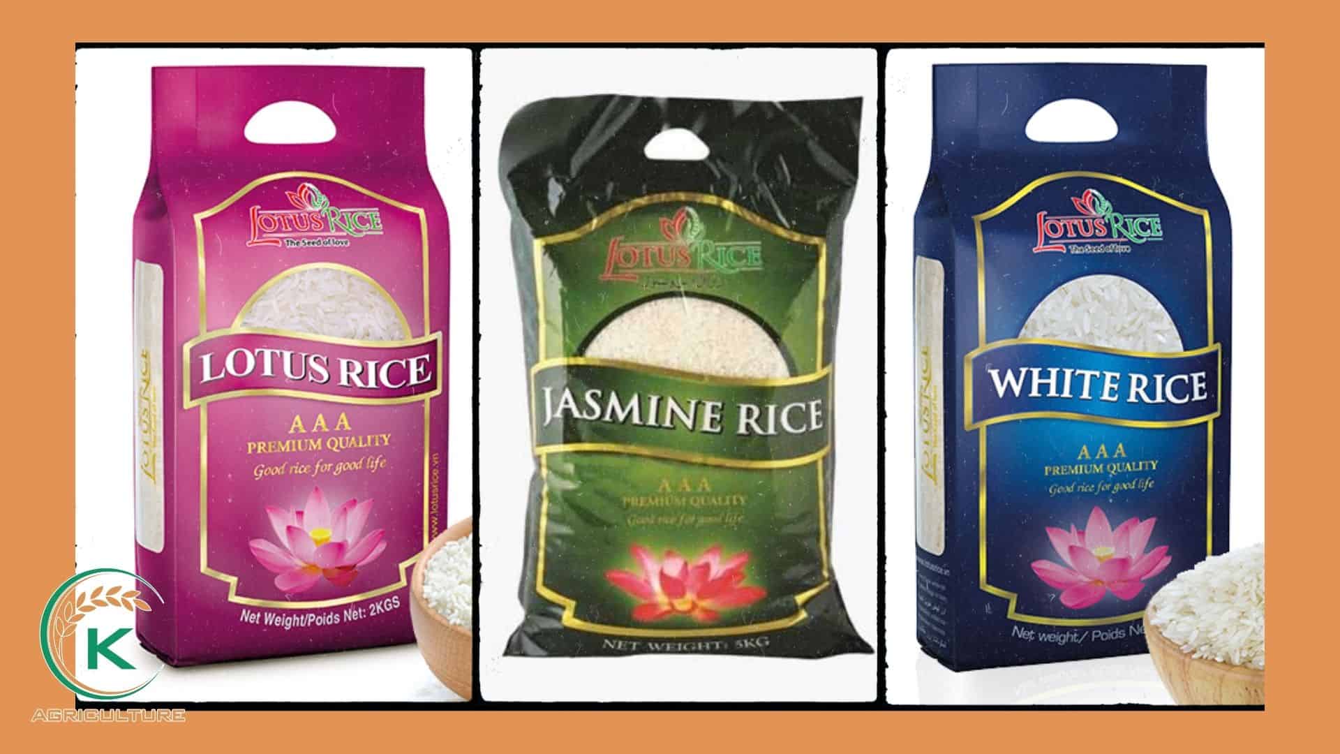jasmine-rice-manufacturer-in-vietnam-12.jpg