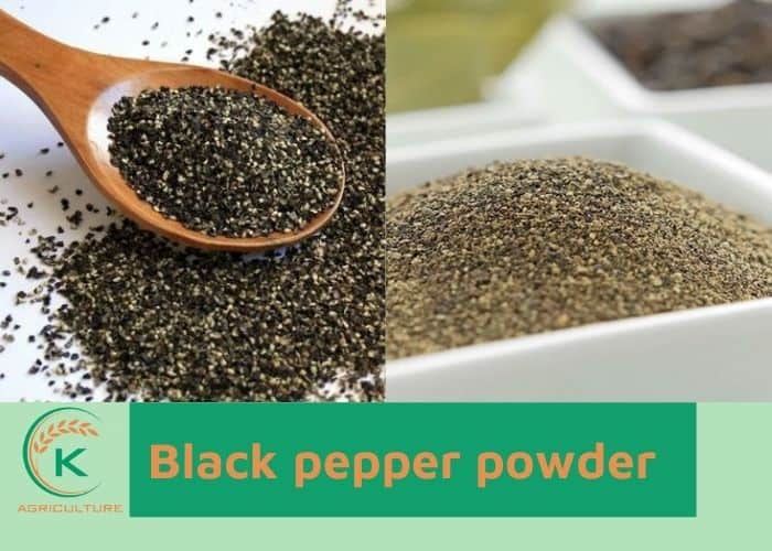 Vietnam-black-pepper-exporters-3.jpg