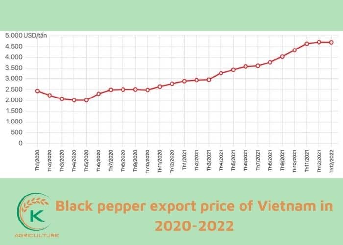 black-pepper-price-4.jpg