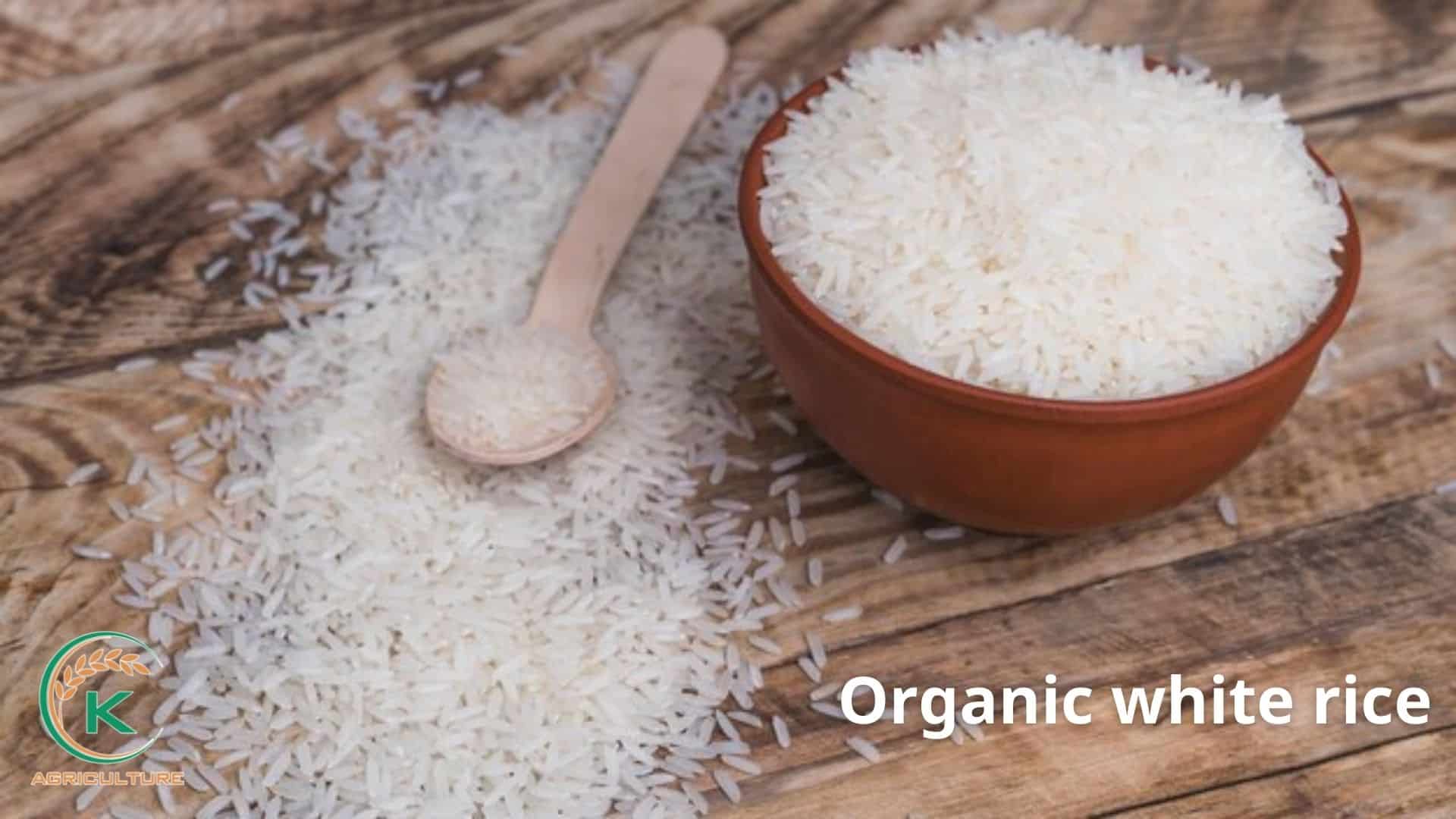organic-rice-brand-5.jpg