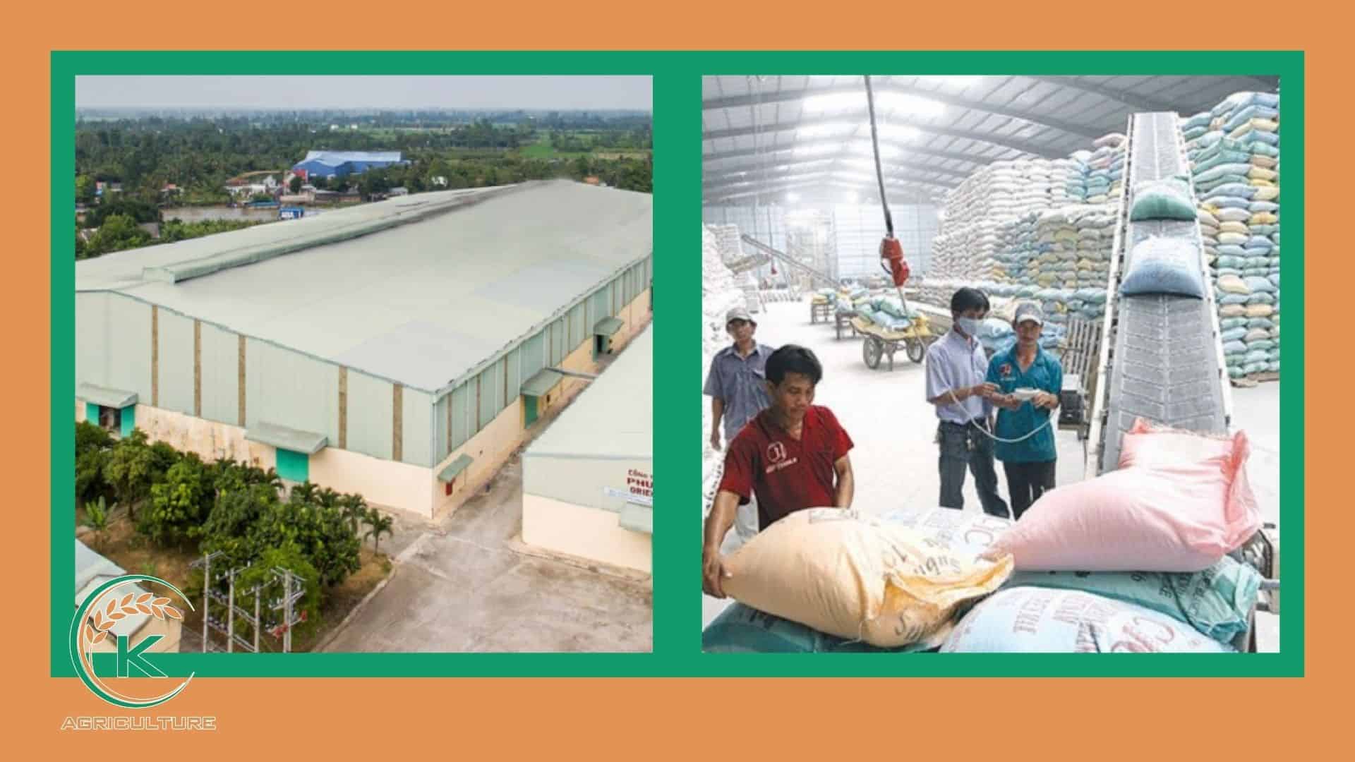 jasmine-rice-manufacturer-in-vietnam-6.jpg