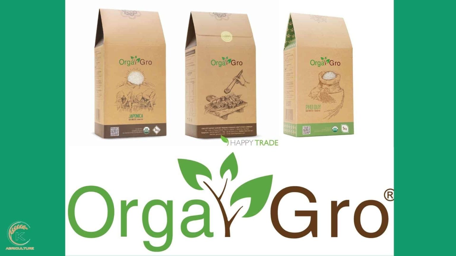 The popularity of organic rice today