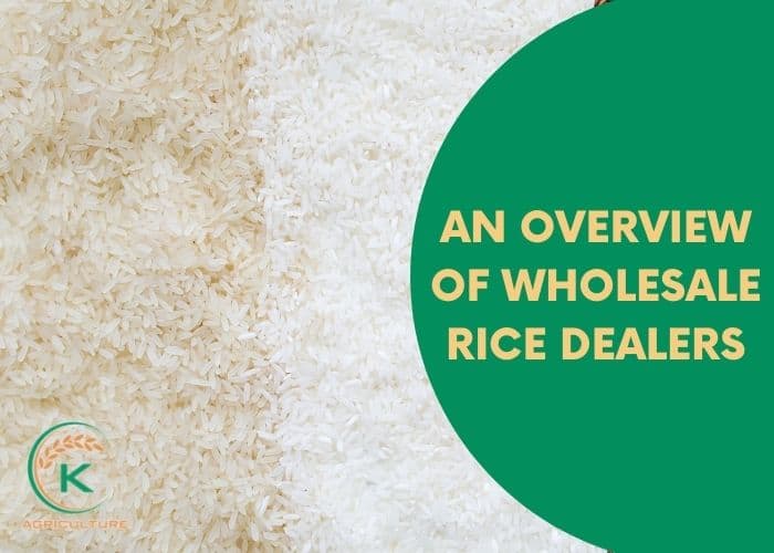 wholesale-rice-dealers-1.jpg