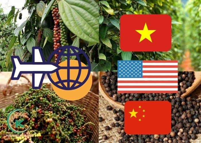 pepper-exporting-countries-11.jpg
