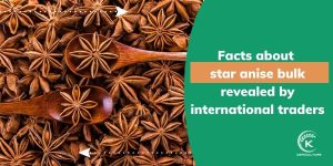star-anise-bulk.jpg