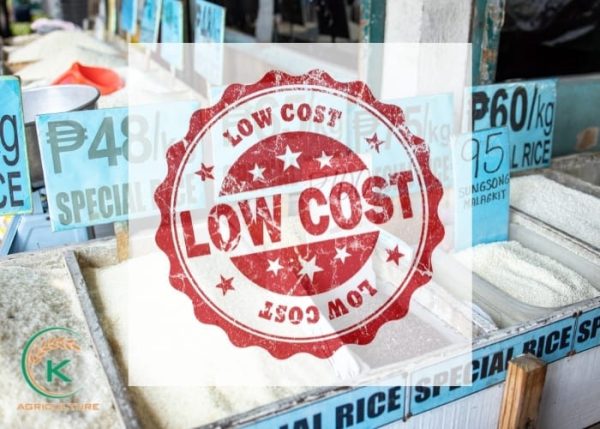 Top 5 Amazing Rice Suppliers in India You Must Know