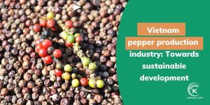 Vietnam-pepper-production.jpg
