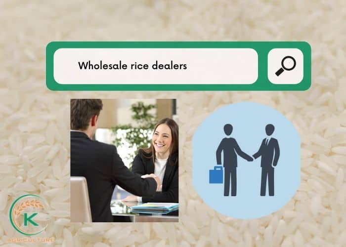 wholesale-rice-dealers-12.jpg