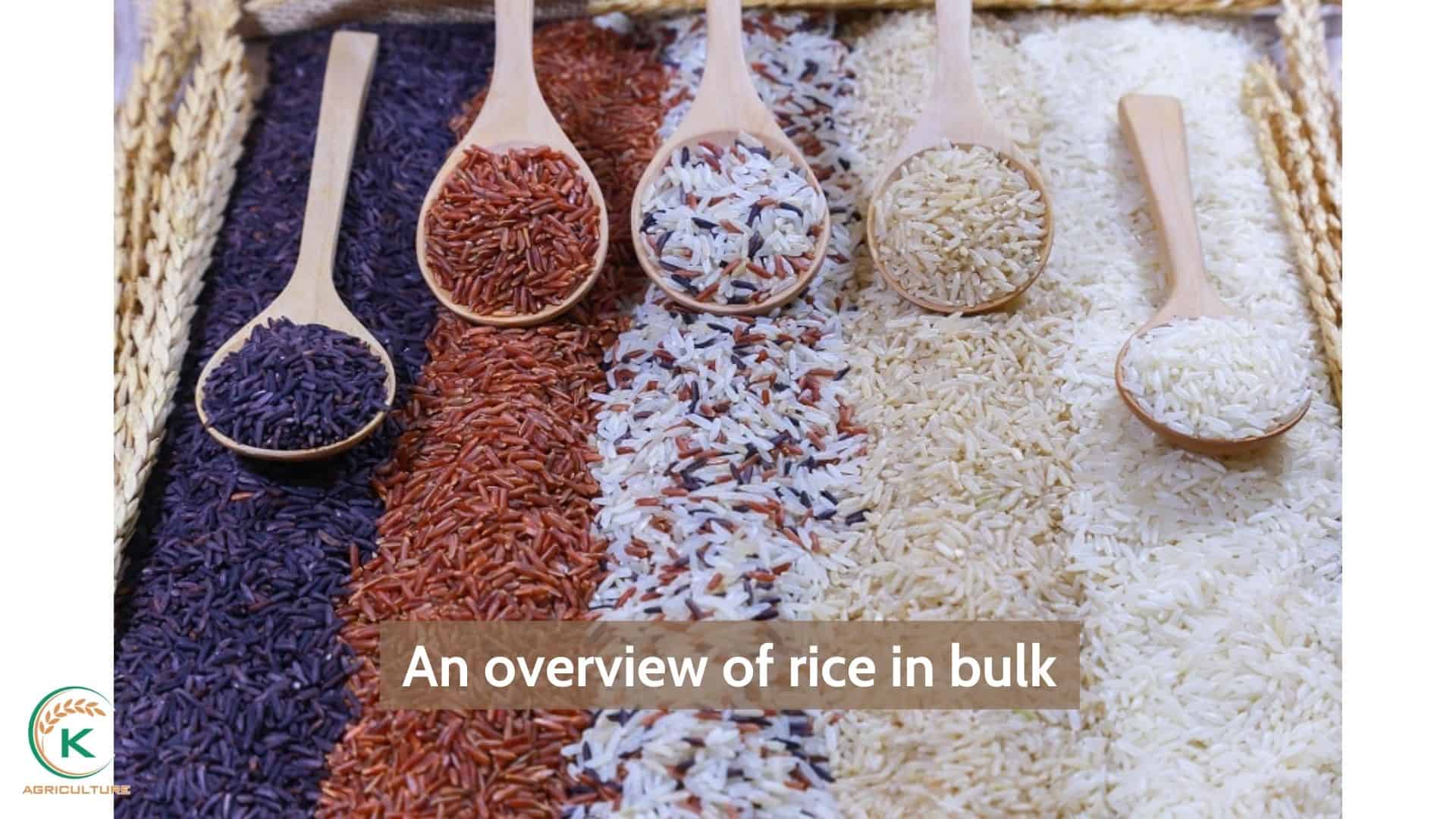 rice-in-bulk-1.jpg