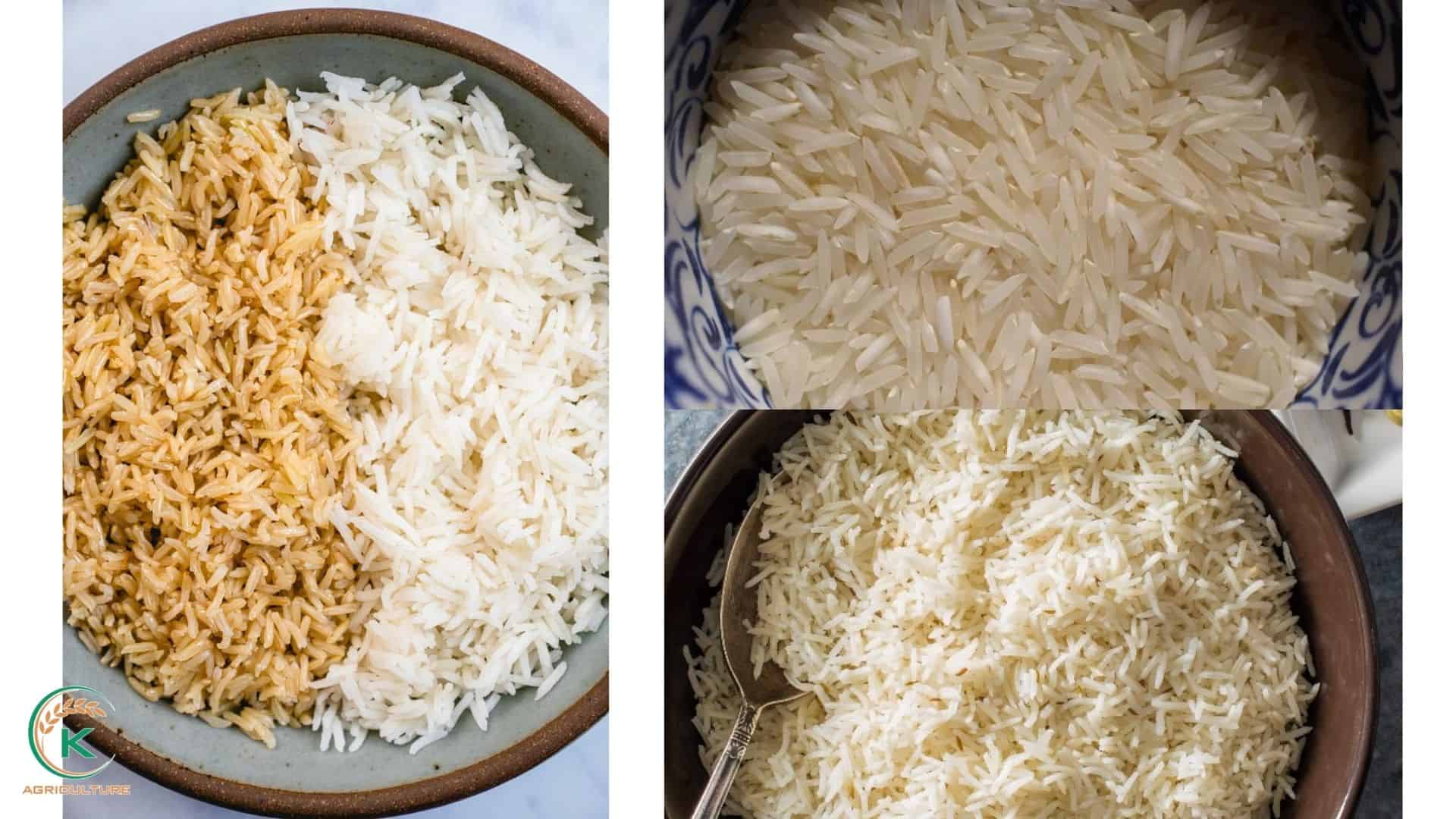 rice-in-bulk-2.jpg