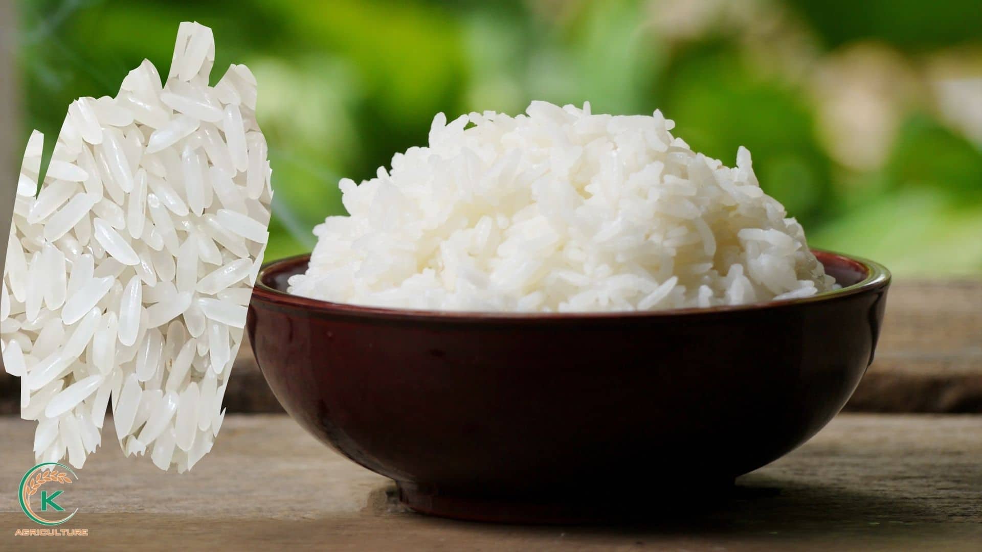 rice-in-bulk-3.jpg