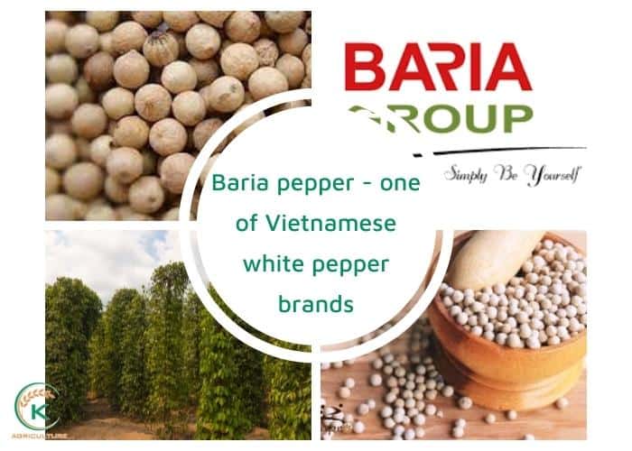 Vietnam-black-pepper-supplier-7.jpg