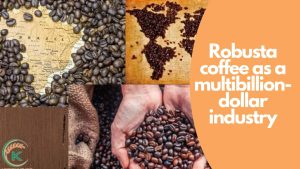 robusta-coffee