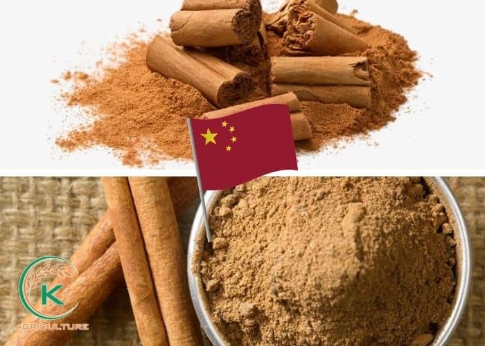 cinnamon-powder-bulk-6.jpg