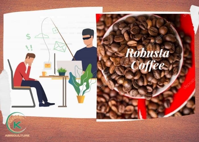 robusta-coffee-company-14.jpg