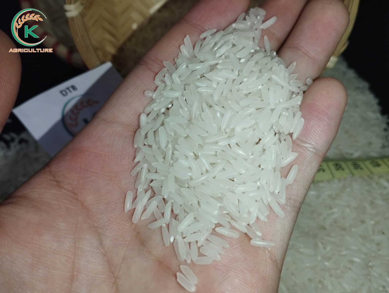 DT08 5% broken rice
