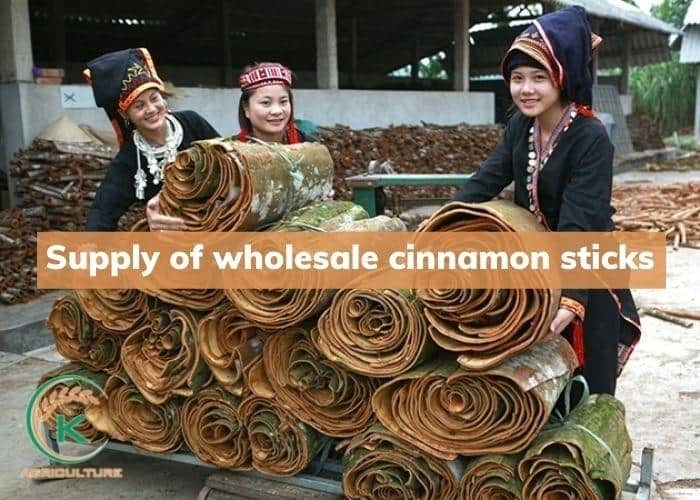 wholesale-cinnamon-sticks-9.jpg