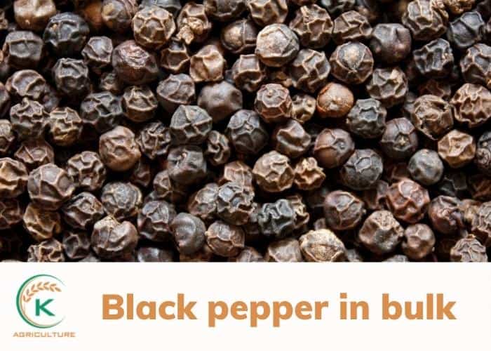 pepper-in-bulk-1.jpg