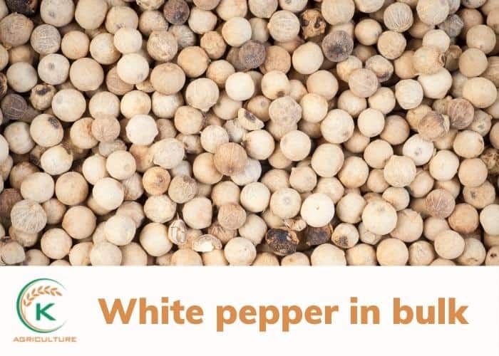 pepper-in-bulk-2.jpg