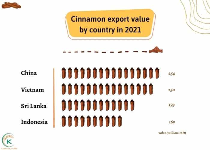 cinnamon-in-bulk-and-3-cases-of-scam-that-importers-must-avoid-1.jpg