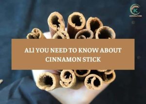 all-you-need-to-know-about-cinnamon-stick - 9