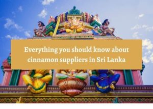 http://k-agriculture.com/everything-you-should-know-about-cinnamon-suppliers-in-sri-lanka-7.jpg