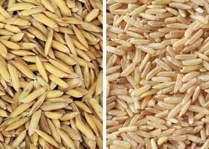 all-about-bulk-rice-best-place-to-buy-white-rice-in-bulk-4