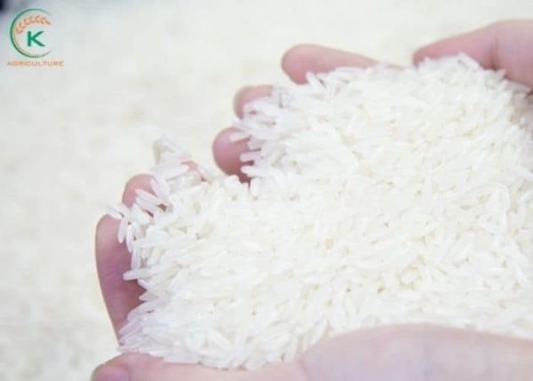 Where to buy white rice in bulk with the cheapest price - K-Agriculture