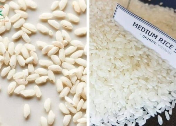 Where to buy white rice in bulk with the cheapest price - K-Agriculture