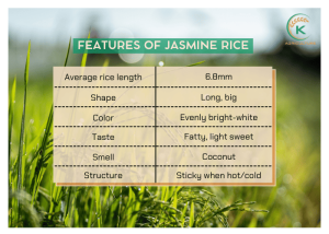 Local Rice Jasmine Jasmine Rice Explained: The Ultimate Guide for Buyers and Importers - K ...