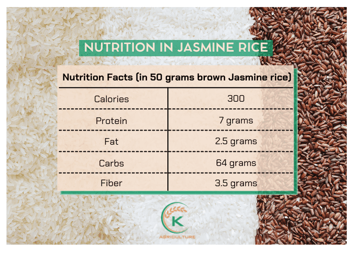 jasmine-rice-3
