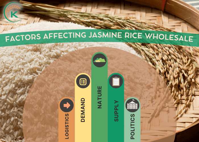 jasmine-rice-6