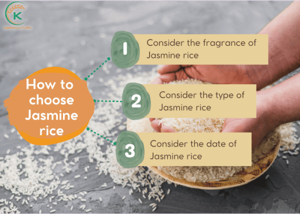 What Makes Jasmine Rice Jasmine