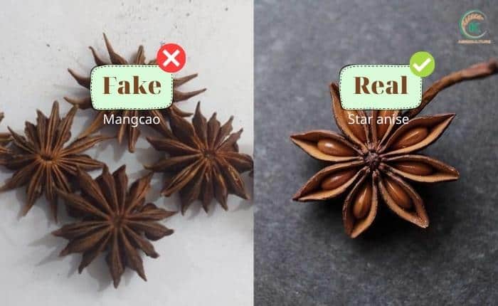 3-simple-ways-to-detect-fake-star-anise-you-may-not-know-4