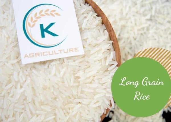 Longest Rice Type 5 Facts About Long Grain Rice - K-Agriculture