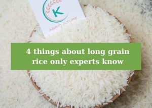 4-things-about-long-grain-rice-only-experts-know 15