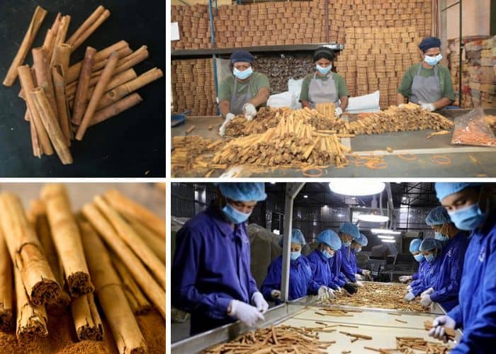 13-must-know-requirements-of-importing-cinnamon-sticks-in-bulk-for-the-us-and-eu-markets-1.jpg