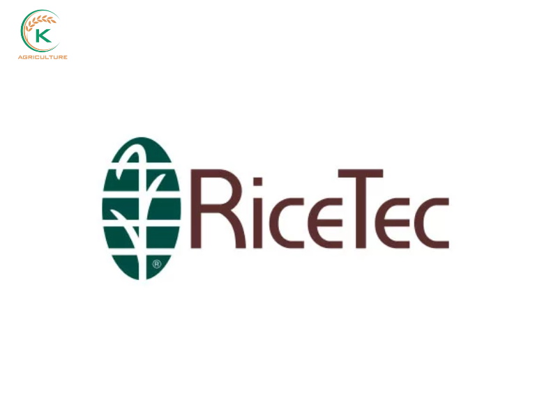rice importers in usa
