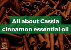 Cassia-cinnamon-essential-oil-11
