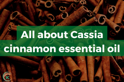 Cassia-cinnamon-essential-oil-11