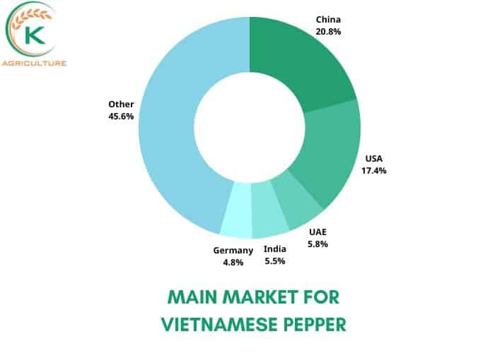 pepper-in-vietnam-3.jpg