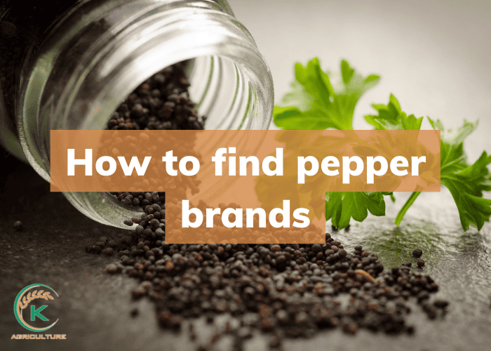 pepper-brands-13