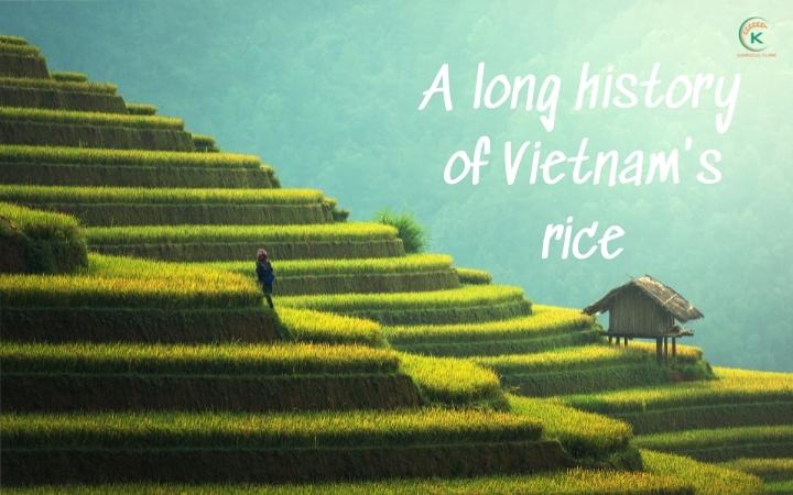 rice-production-in-vietnam-has-continuously-increased-over-years-1