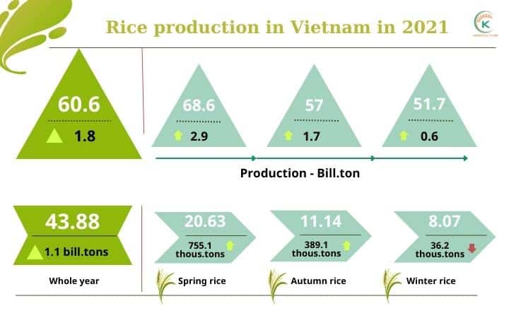 rice-production-in-vietnam-has-continuously-increased-over-years-3