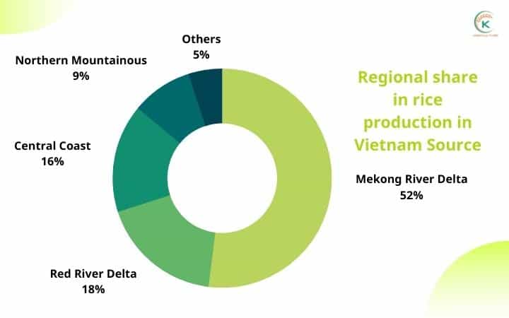 rice-production-in-vietnam-has-continuously-increased-over-years-5