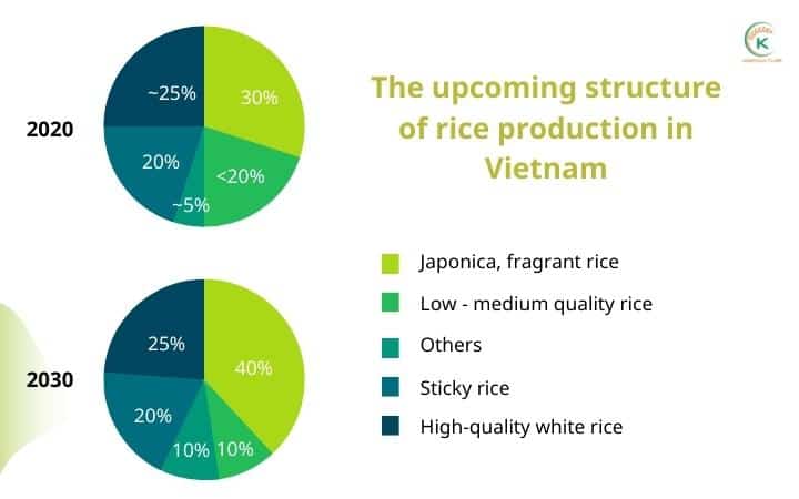 rice-production-in-vietnam-has-continuously-increased-over-years-6
