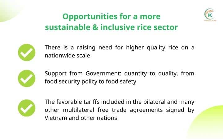 rice-production-in-vietnam-has-continuously-increased-over-years-7